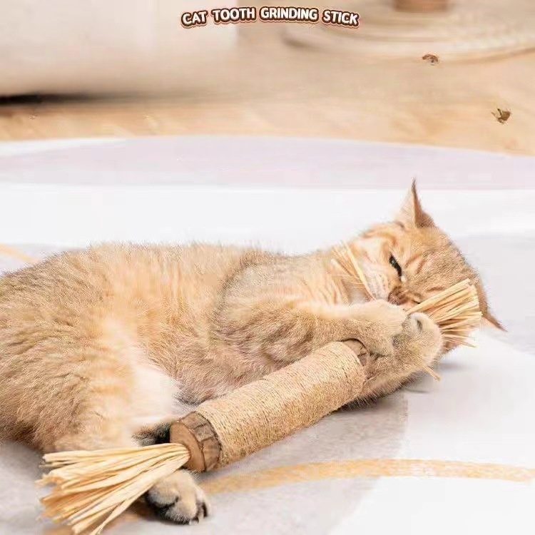 Pet Cat Toys from mmcis china